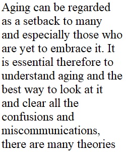 Theories Short Paper_Sociology of Aging